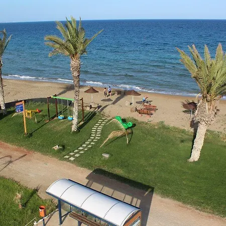 Cyprus Daire